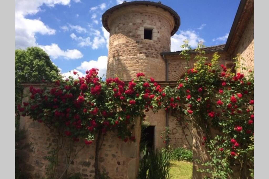 Domaine De La Durantie Duplex Vieux Chateau Castelnau-de-Montmiral Exterior foto